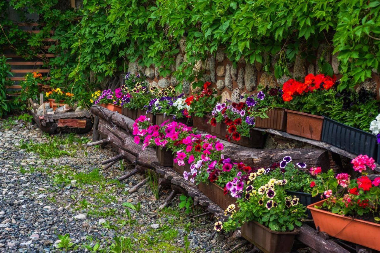 Pokoje Z Widokiem Na Gory I Prywatny Domek Z Zadaszona Altana - Grillem I Ogniskiem. Zakopane Ngoại thất bức ảnh