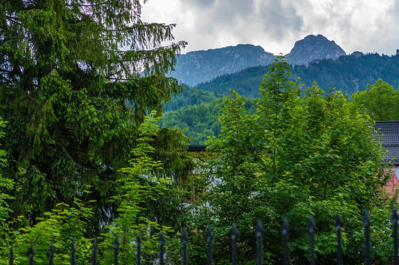 Pokoje Z Widokiem Na Gory I Prywatny Domek Z Zadaszona Altana - Grillem I Ogniskiem. Zakopane Ngoại thất bức ảnh