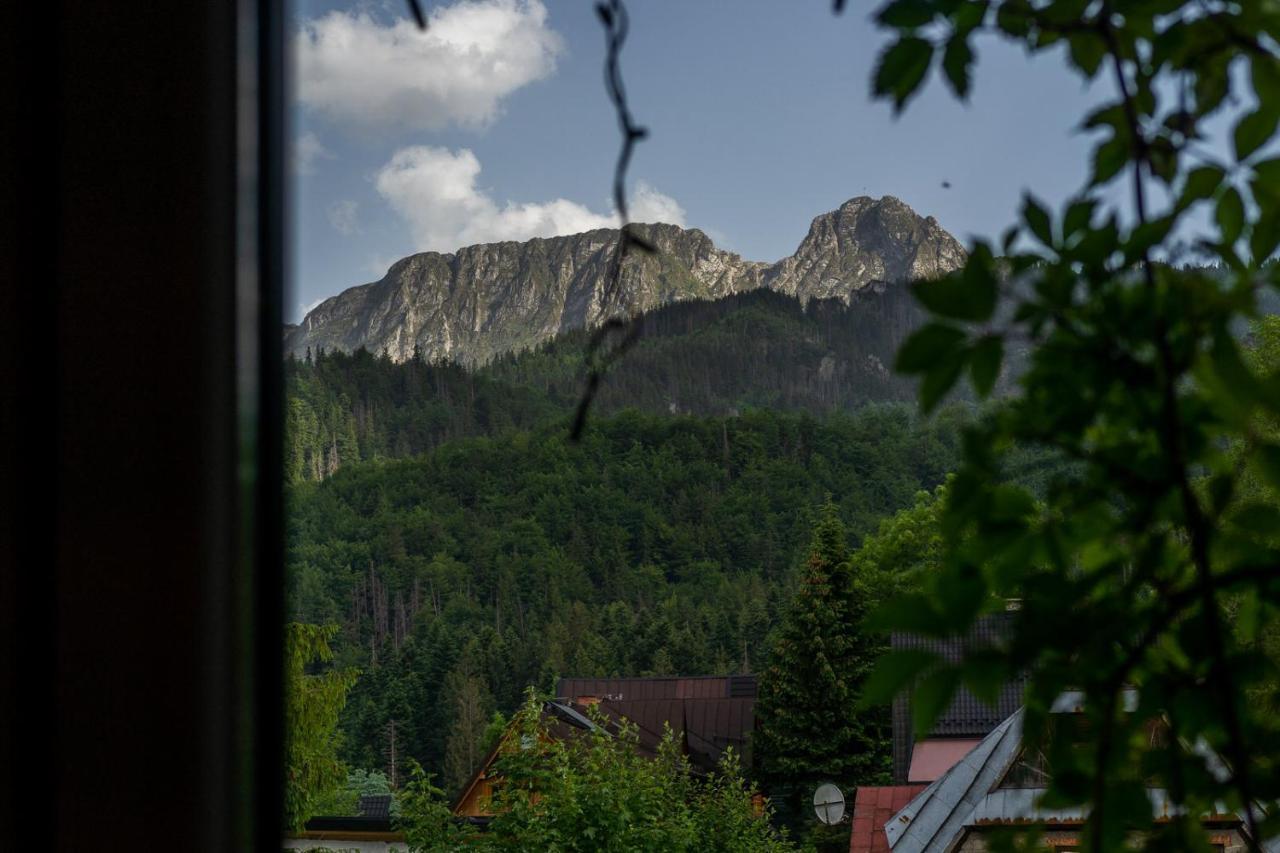 Pokoje Z Widokiem Na Gory I Prywatny Domek Z Zadaszona Altana - Grillem I Ogniskiem. Zakopane Ngoại thất bức ảnh